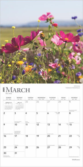 2025 Wildflowers Calendar