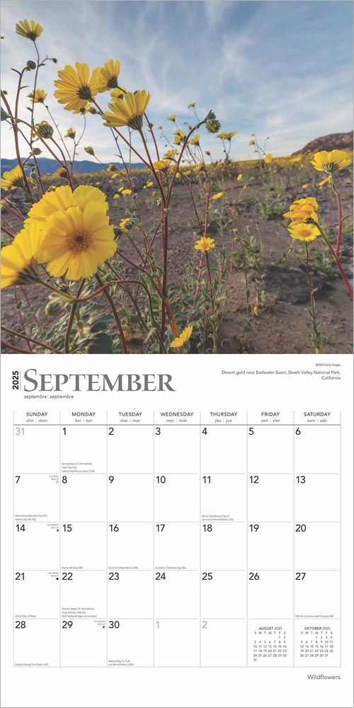 2025 Wildflowers Calendar