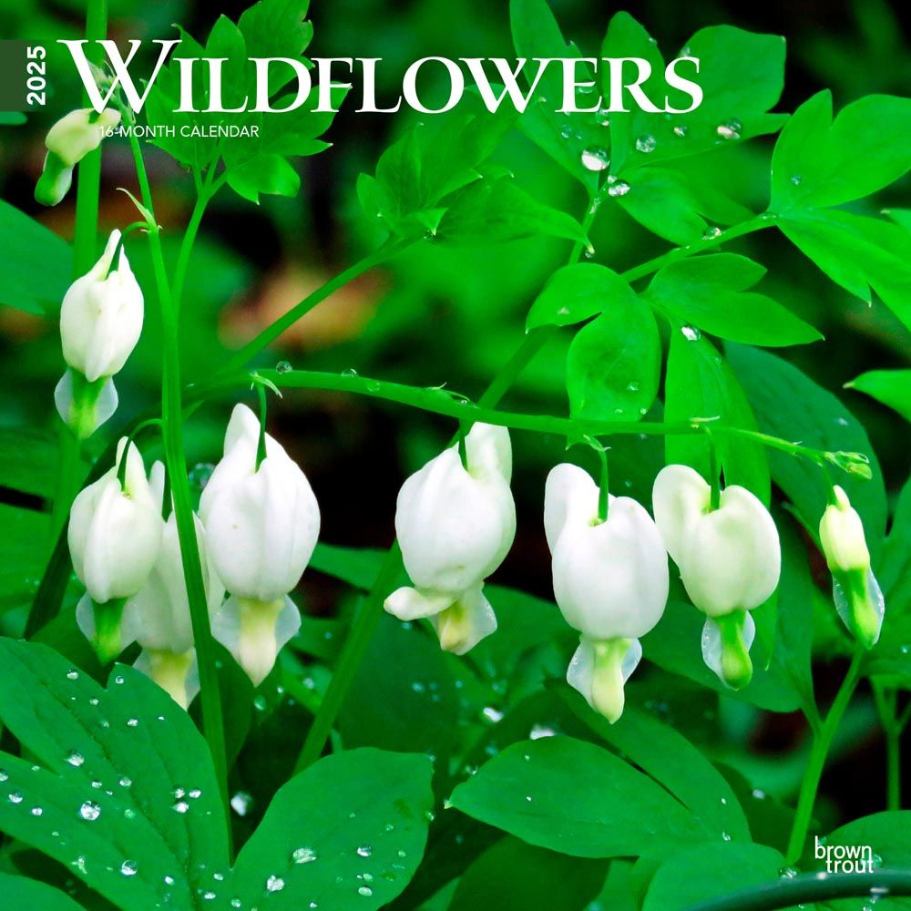 2025 Wildflowers Calendar