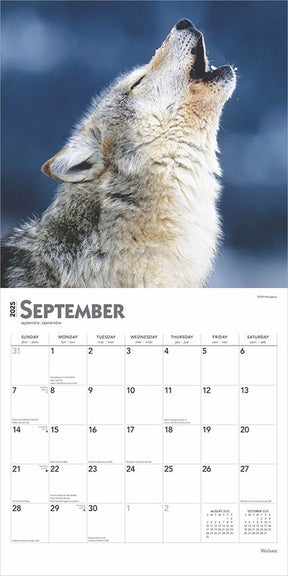 2025 Wolves Calendar