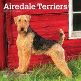 2025 Airedale Terriers Calendar