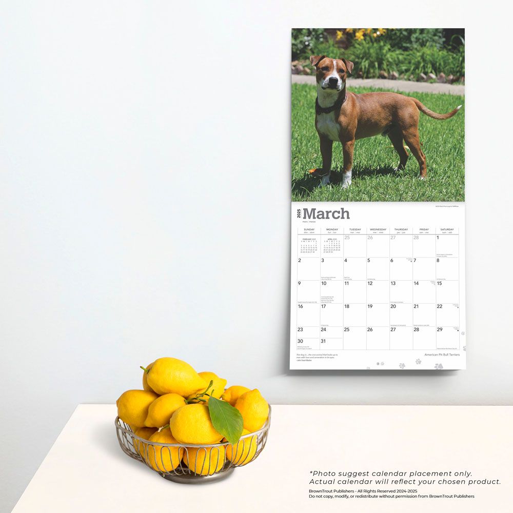 2025 American Pitbull Terriers Calendar