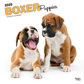 2025 Boxer Puppies Calendar