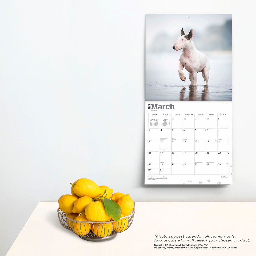 2025 Bull Terriers Calendar