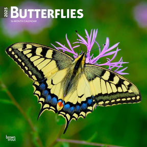 2025 Butterflies Calendar