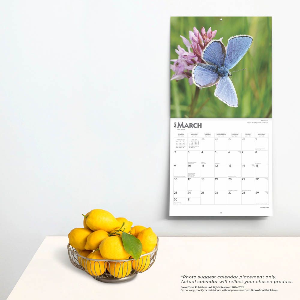 2025 Butterflies Calendar