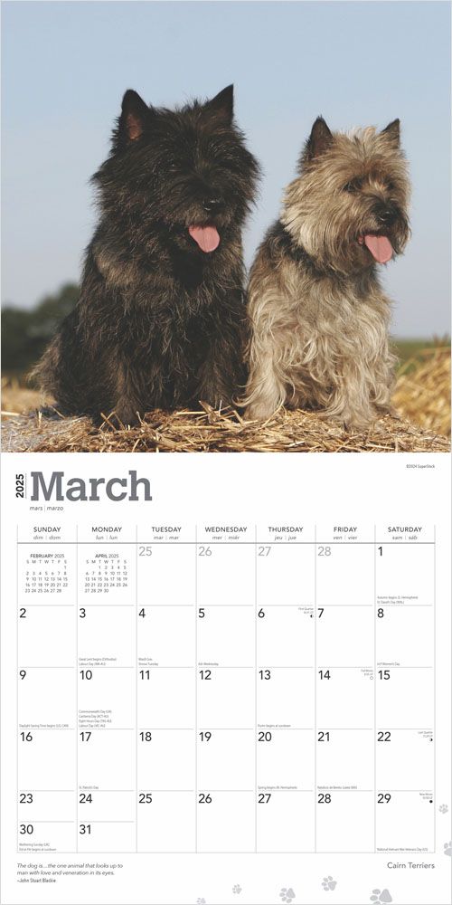 2025 Cairn Terriers Calendar