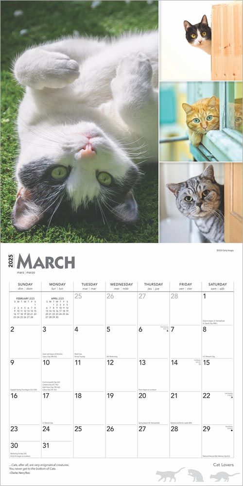 2025 Cat Lovers Calendar