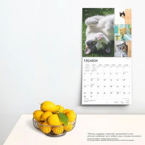 2025 Cat Lovers Calendar