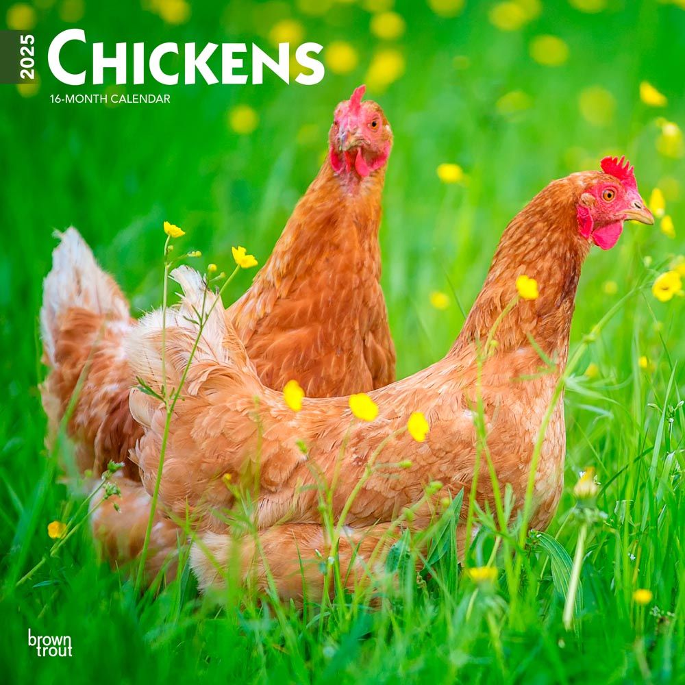 2025 Chickens Calendar