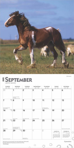 2025 Clydesdales Calendar