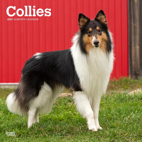 2025 Collies Calendar