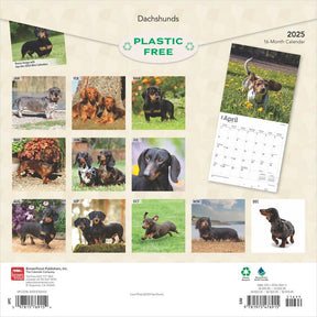 2025 Dachshunds Calendar