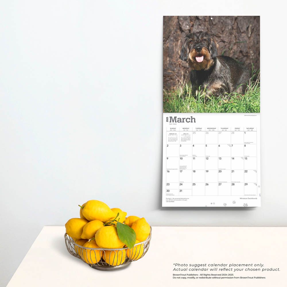 2025 Dachshunds Miniature Calendar