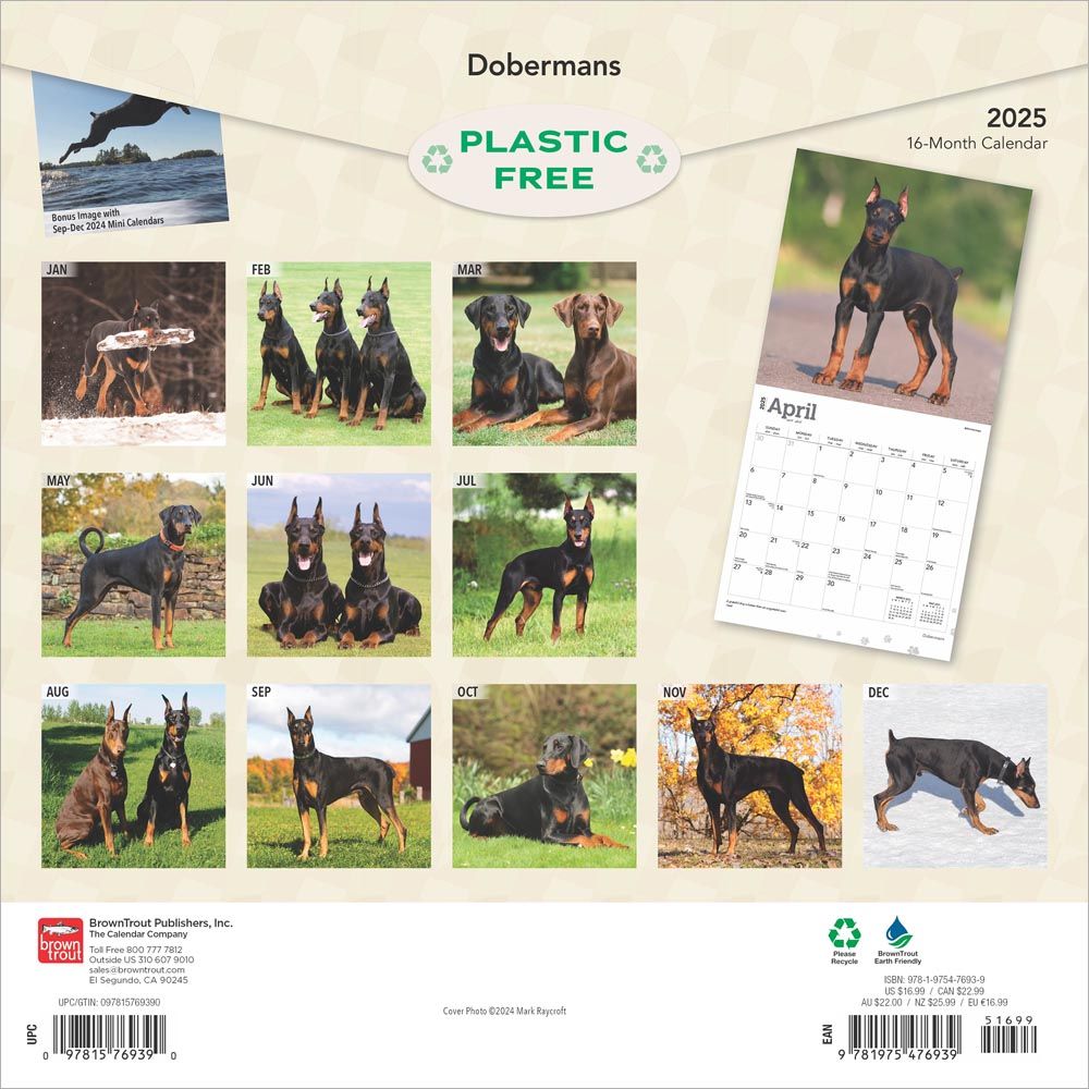 2025 Dobermans Calendar