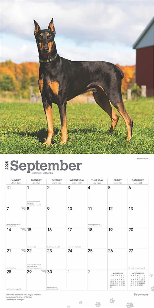 2025 Dobermans Calendar