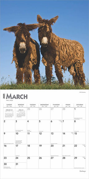 2025 Donkeys Calendar