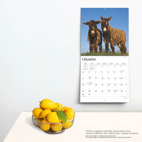 2025 Donkeys Calendar