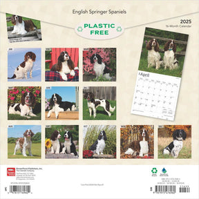 2025 English Springer Spaniels Calendar