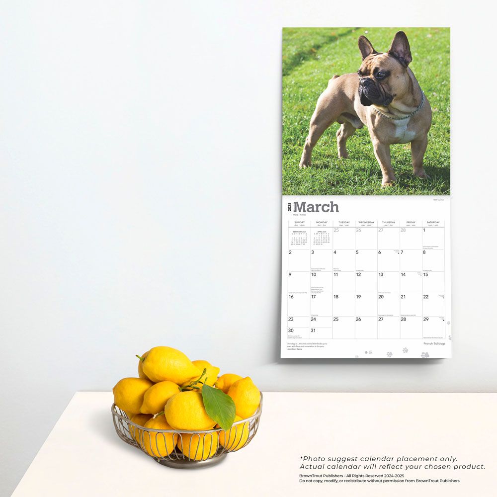 2025 French Bulldogs Calendar