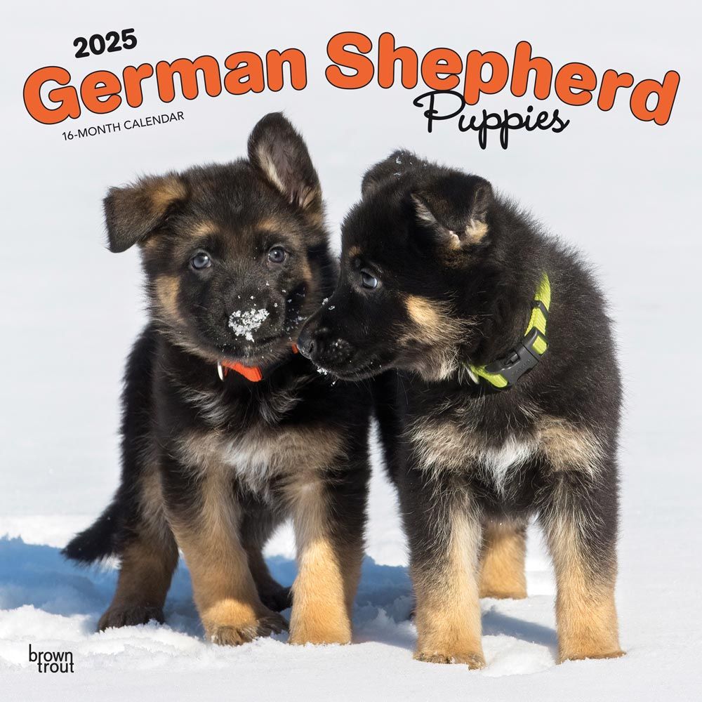 2025 German Shepherd Puppies Calendar