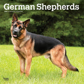 2025 German Shepherds Calendar