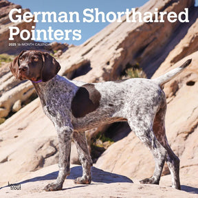 2025 German Shorthaired Pointers Calendar