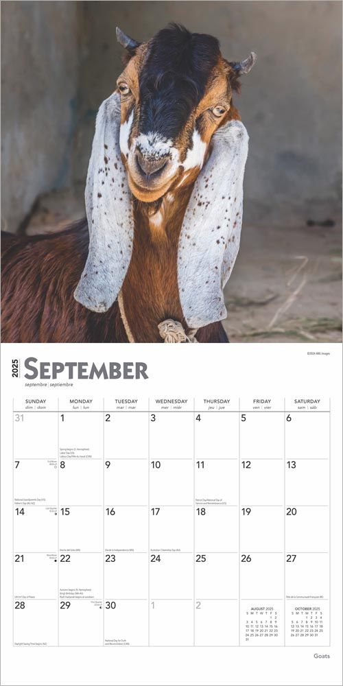 2025 Goats Calendar