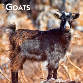 2025 Goats Calendar