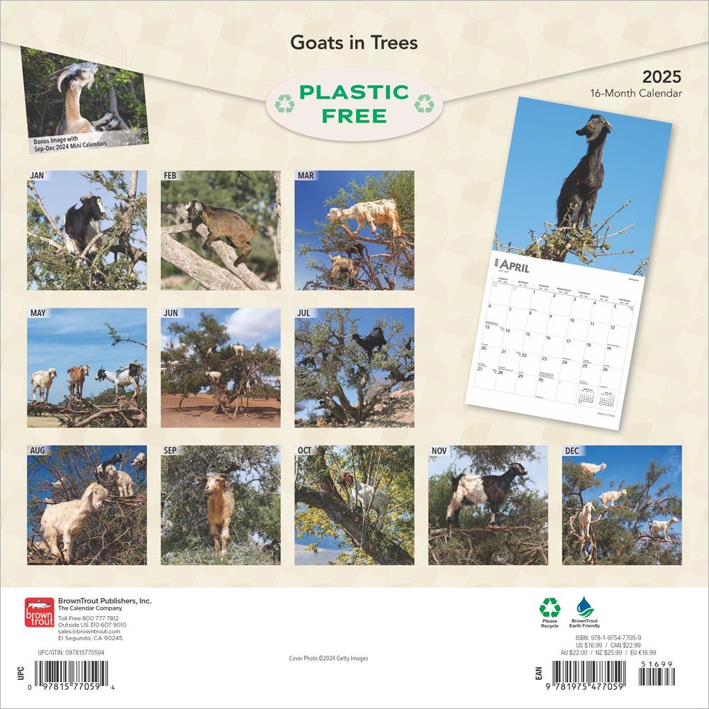 2025 Goats In Trees Calendar