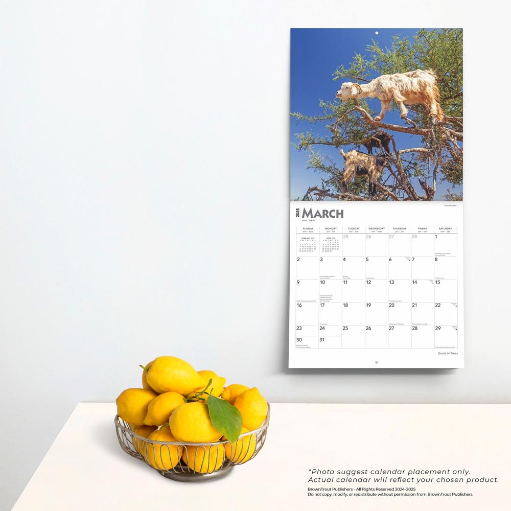 2025 Goats In Trees Calendar