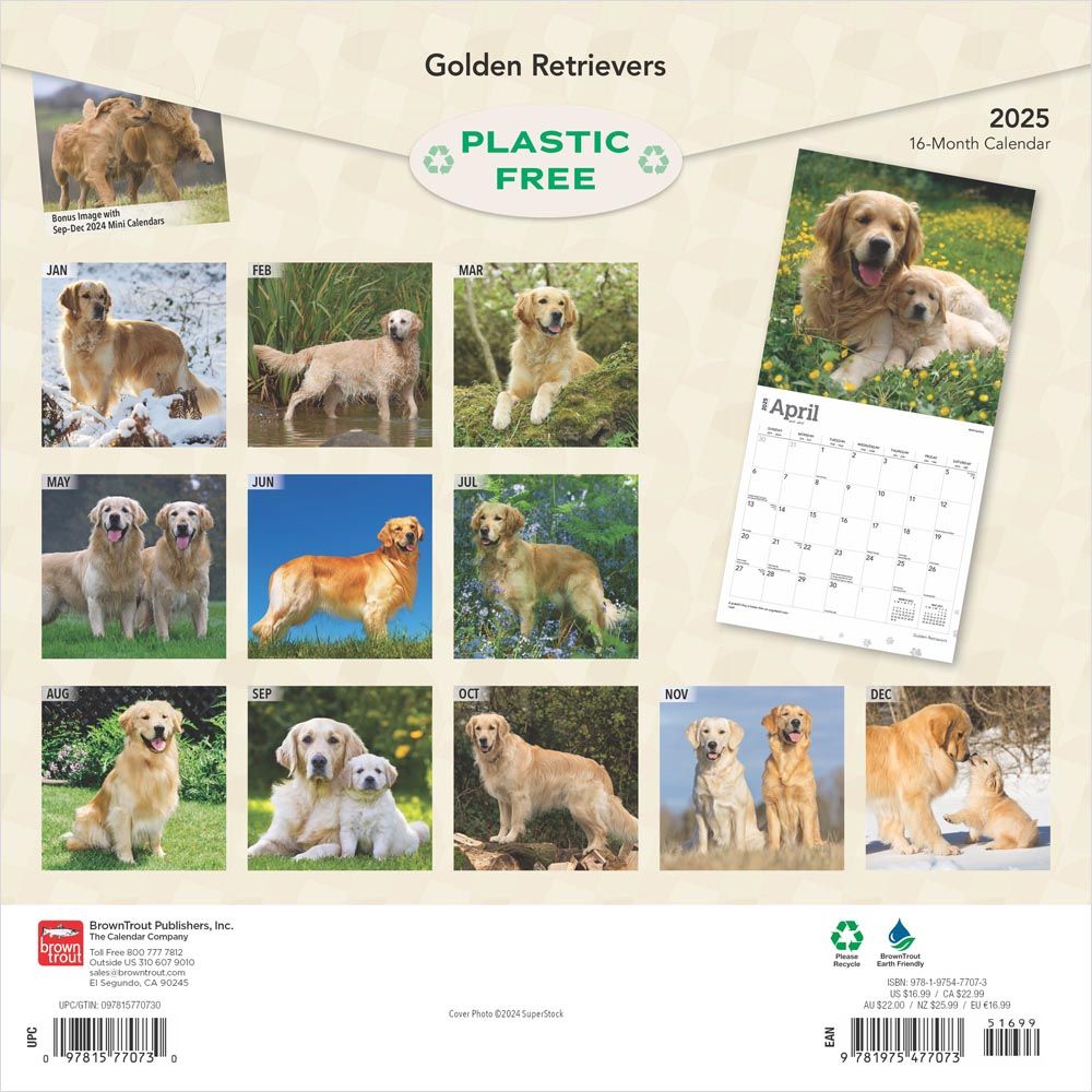 2025 Golden Retrievers Calendar