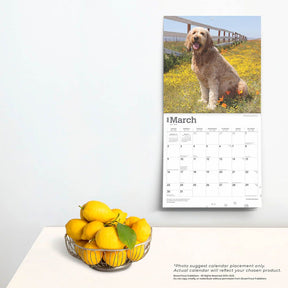 2025 Goldendoodles Calendar