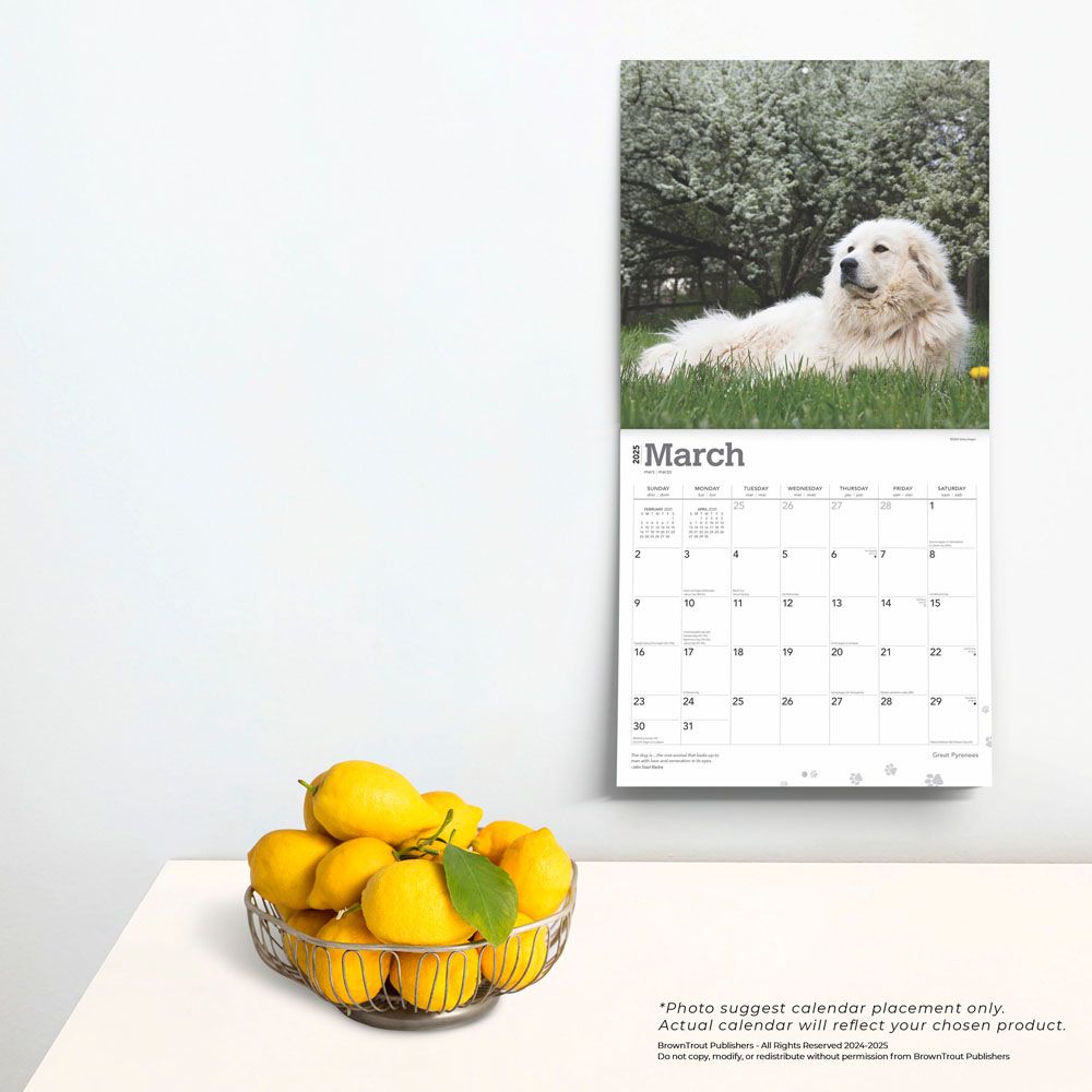 2025 Great Pyrenees Calendar