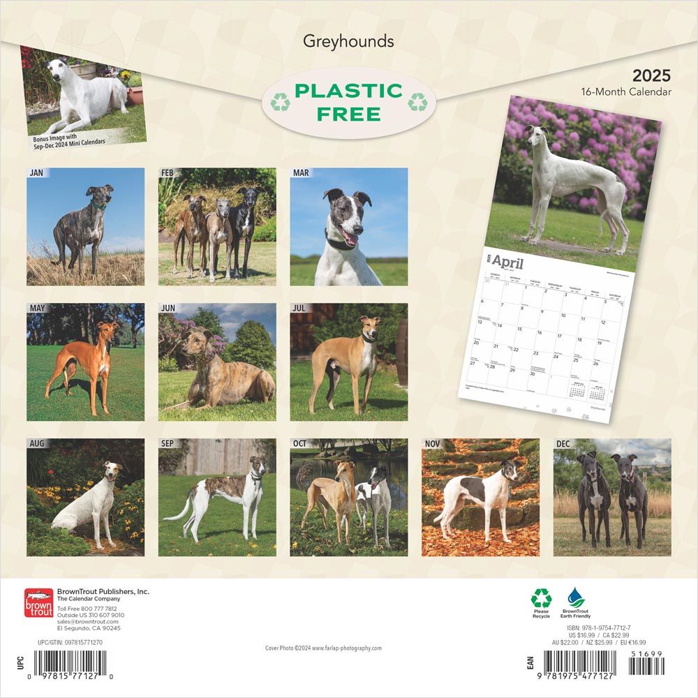 2025 Greyhounds Calendar