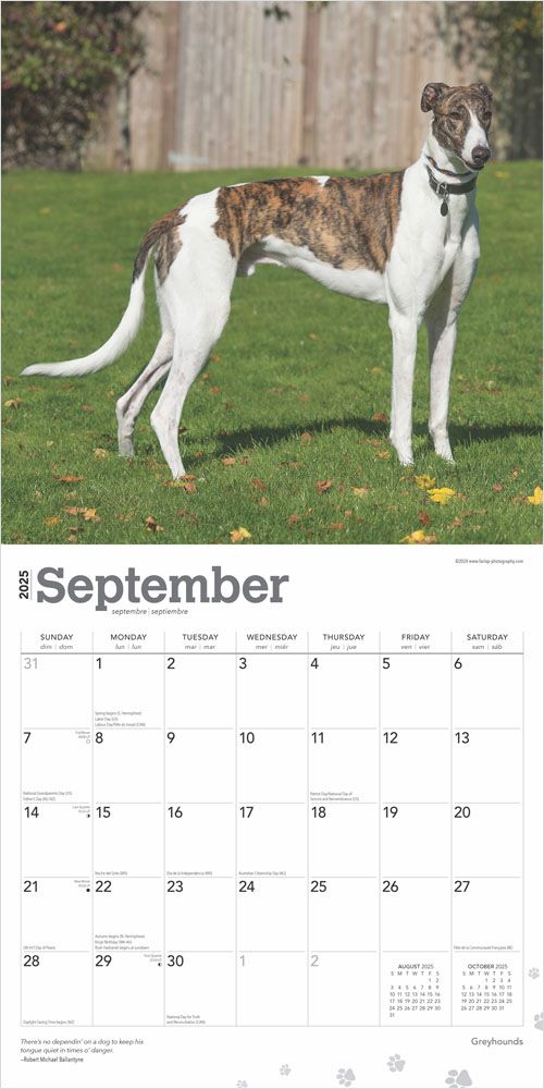 2025 Greyhounds Calendar