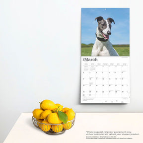 2025 Greyhounds Calendar