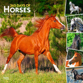 2025 365 Days Of Horses Calendar