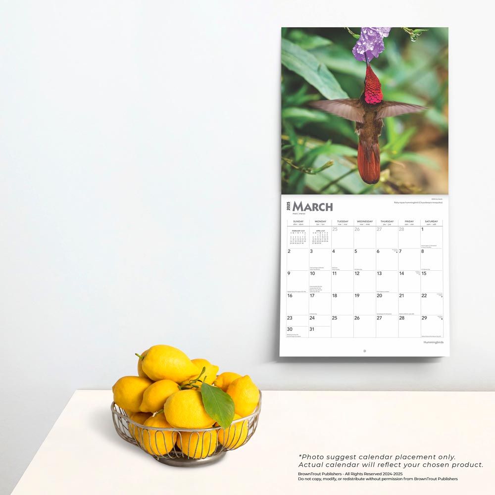 2025 Hummingbirds Calendar