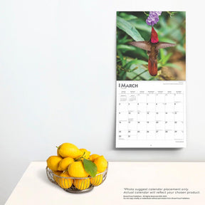 2025 Hummingbirds Calendar