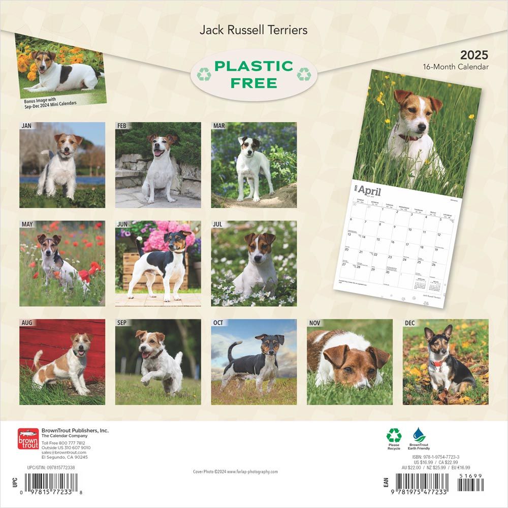 2025 Jack Russell Terrier Calendar