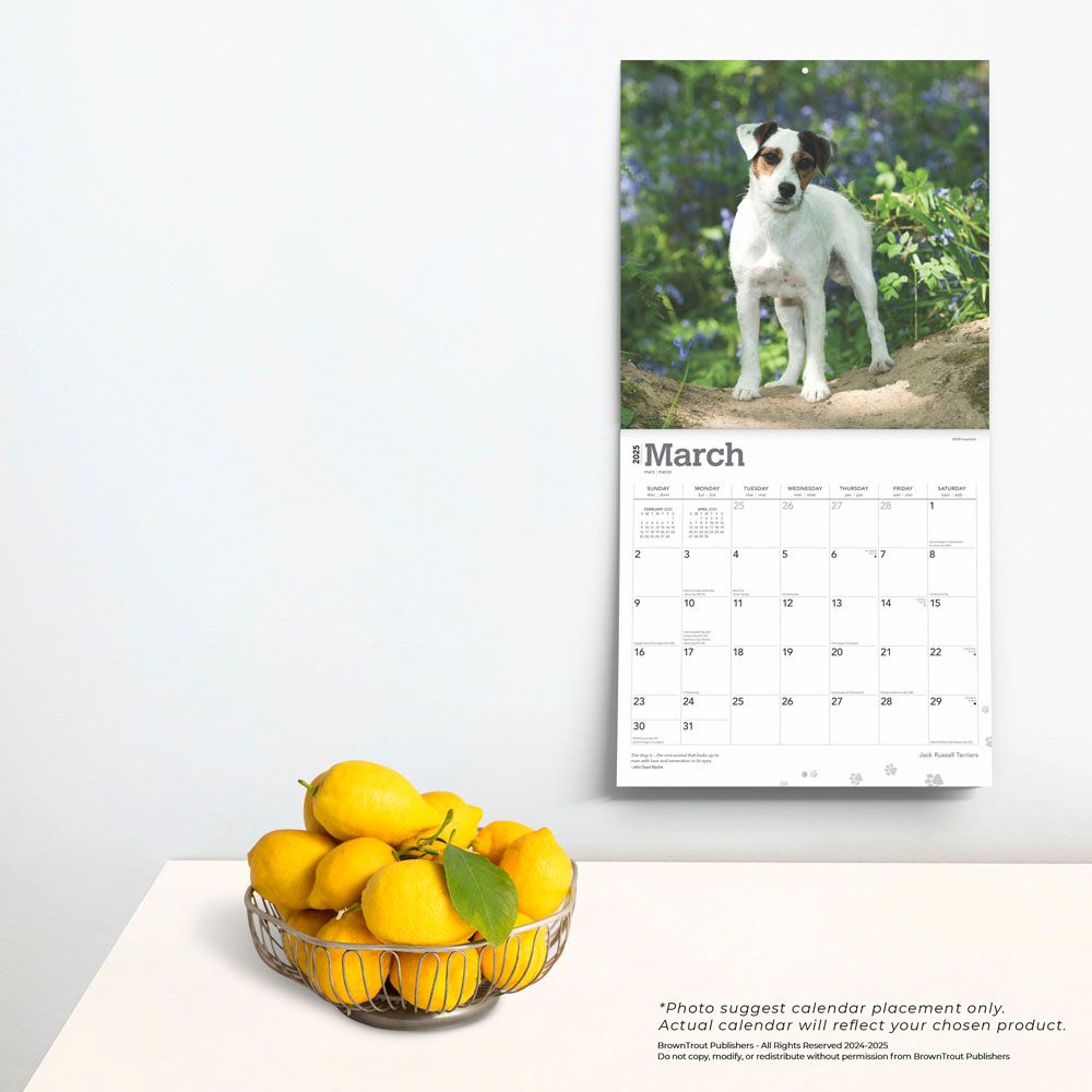 2025 Jack Russell Terrier Calendar