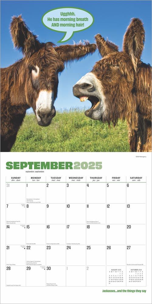 2025 Jackasses Calendar