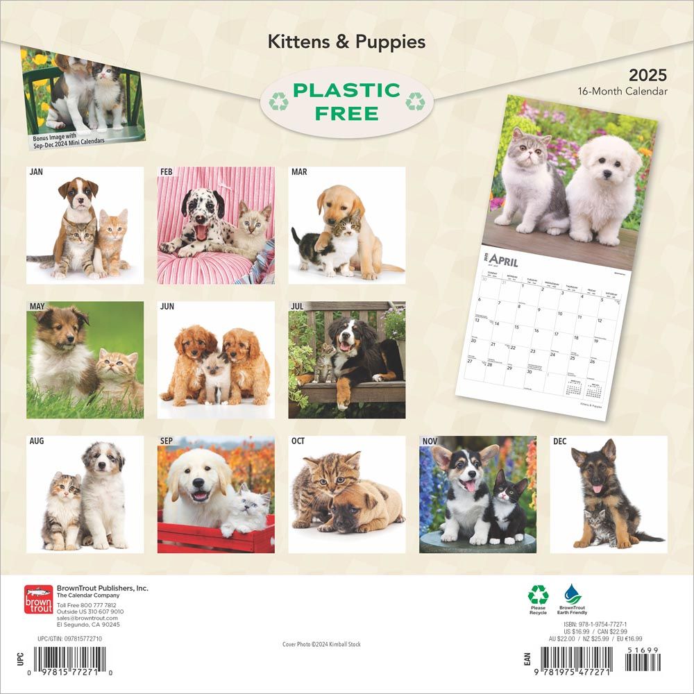 2025 Kittens & Puppies Calendar