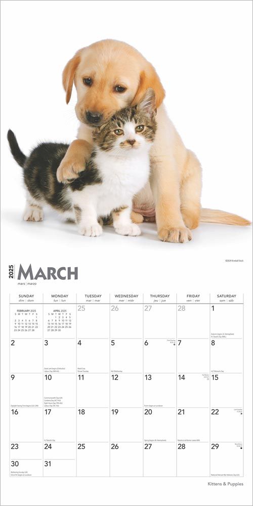 2025 Kittens & Puppies Calendar