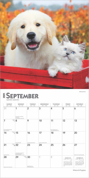 2025 Kittens & Puppies Calendar