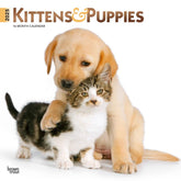 2025 Kittens & Puppies Calendar