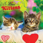 2025 I Love Kittens Calendar