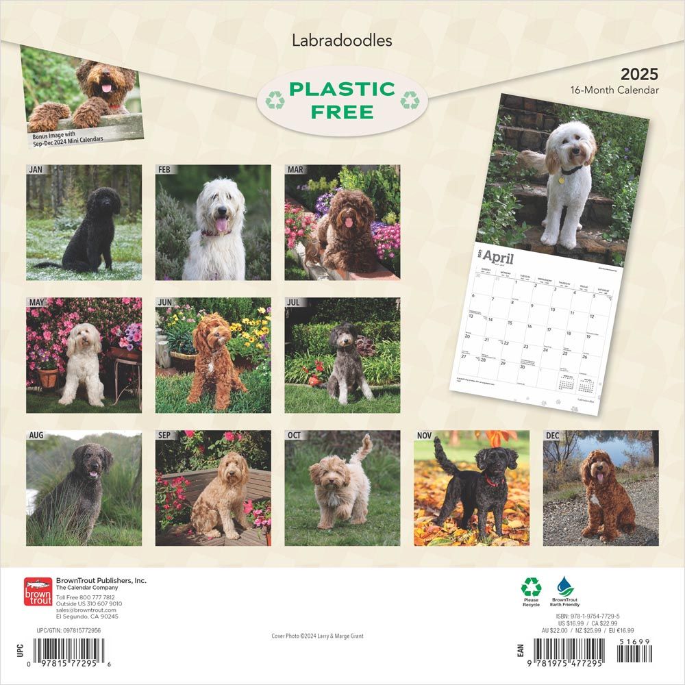 2025 Labradoodles Calendar