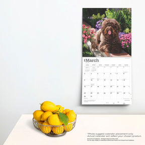 2025 Labradoodles Calendar